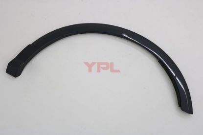 CAMURLUK AGZI DODIK ARKA SOL Q2 2017>> - 81A853817A GRU resmi