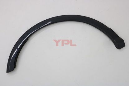 CAMURLUK AGZI DODIK ARKA SAG Q2 2017>> - 81A853818A GRU resmi